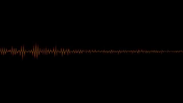 A sample wave form produced from audio